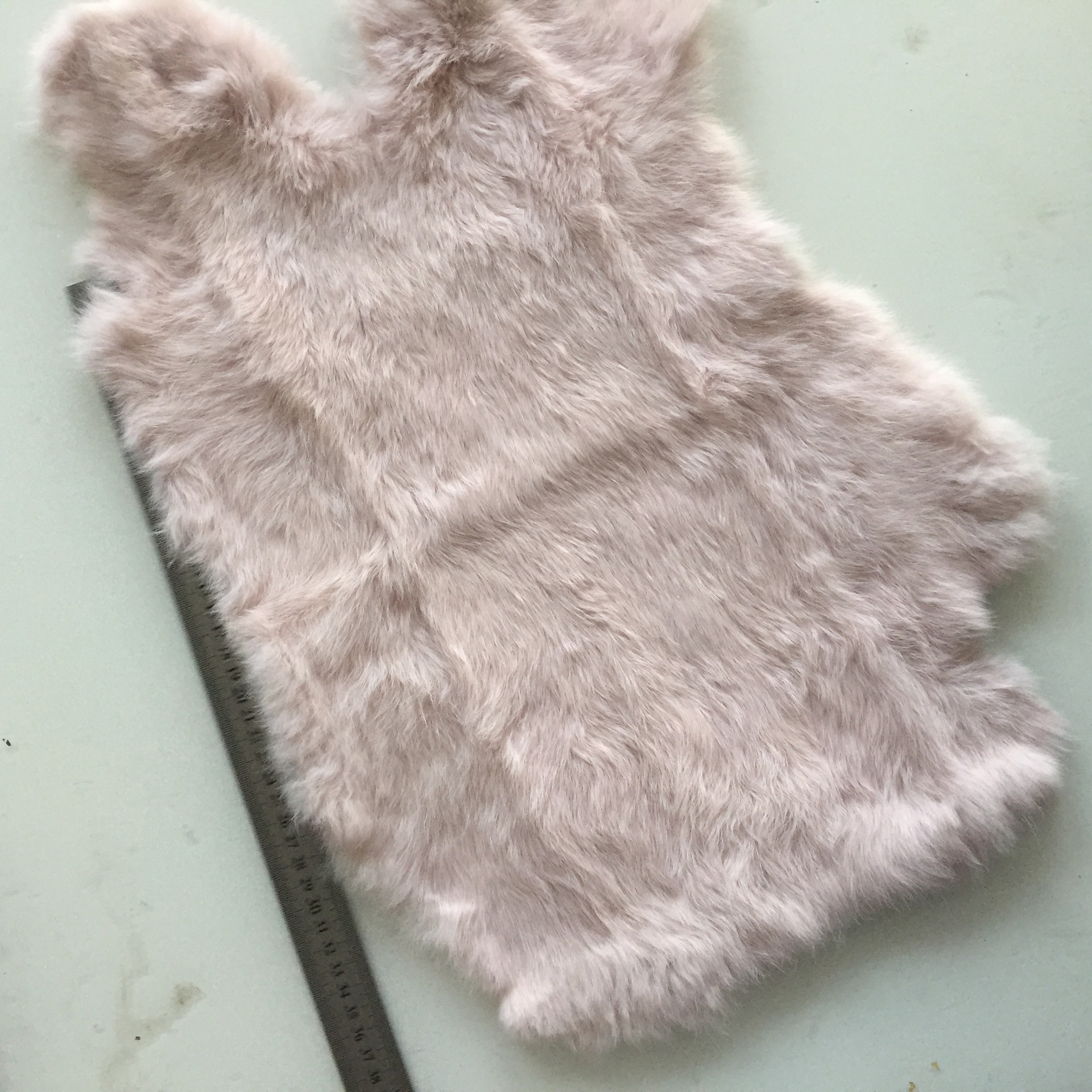 微信图片_201903061102122