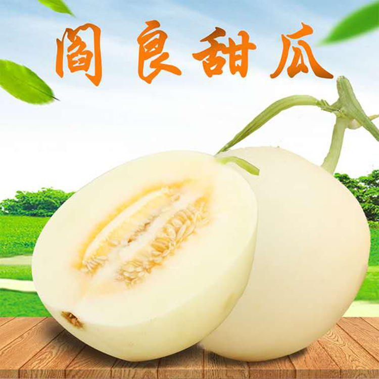 现货陕西阎良香瓜新鲜当季水果不香瓜时令哈密瓜应季蜜瓜甜瓜包邮