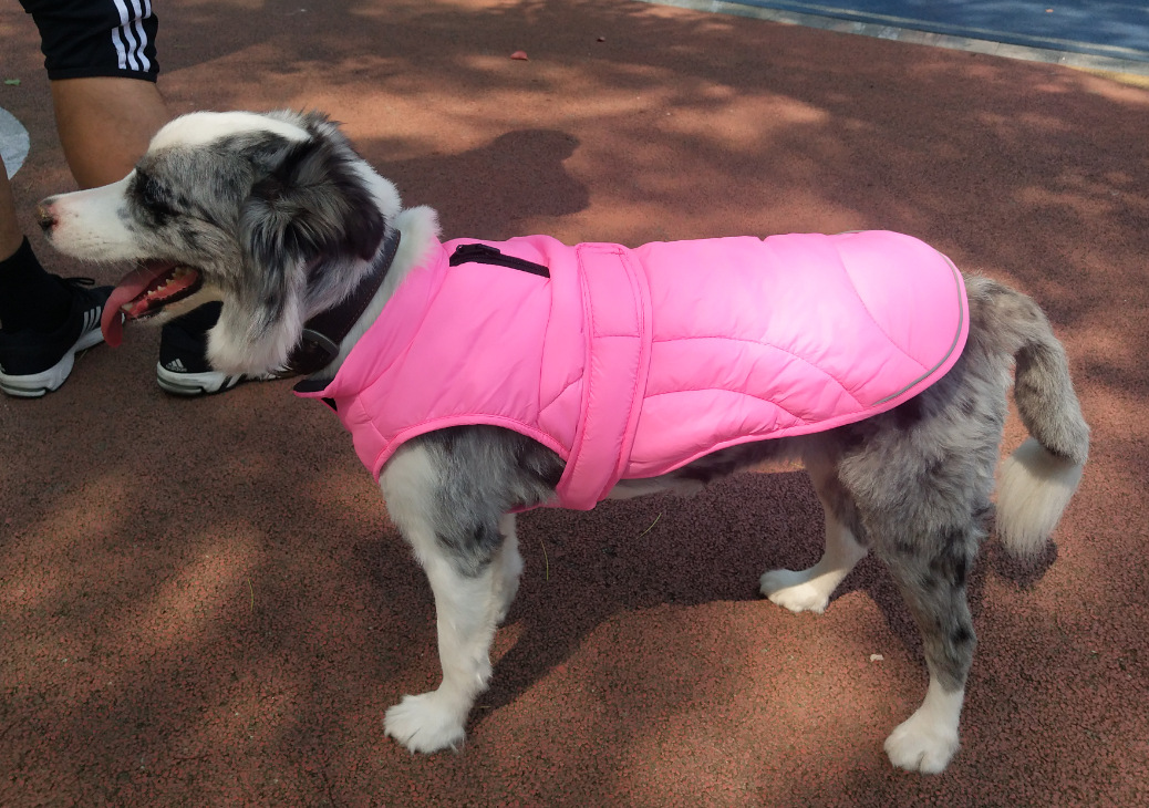 Dog Coat in Pink