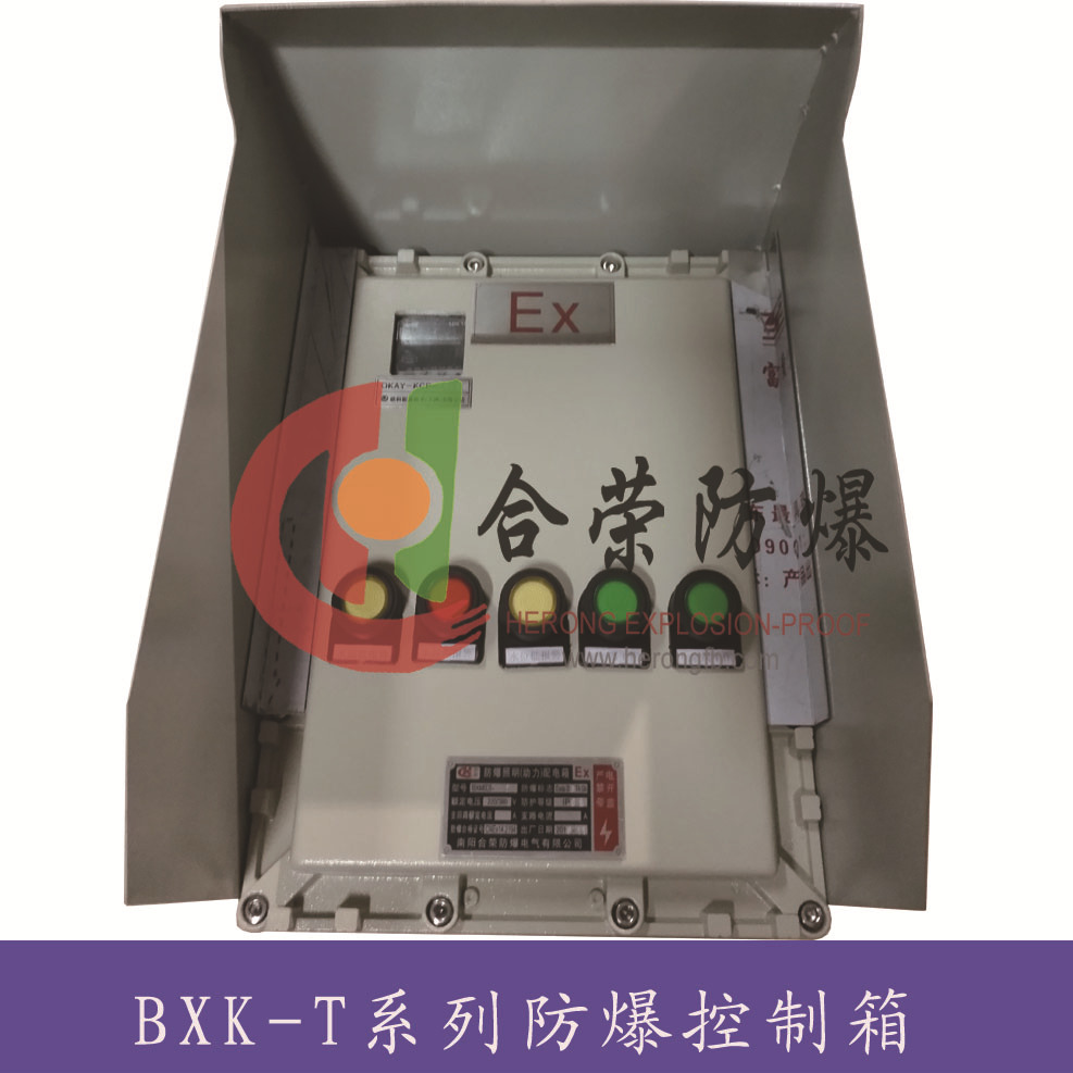 防爆控制箱 (14)