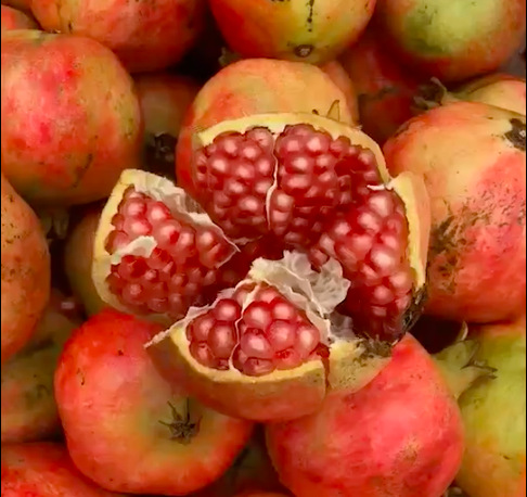 【順豐包郵】四川會理水晶石榴9斤 新鮮水果現摘突尼斯軟籽石榴