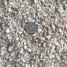 ��ϼ�ؐ������Ͽɷ�ܛ�������u��ë���u�Ե� �u���B���