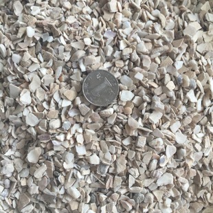 ��ϼ�ؐ������Ͽɷ�ܛ�������u��ë���u�Ե� �u���B���