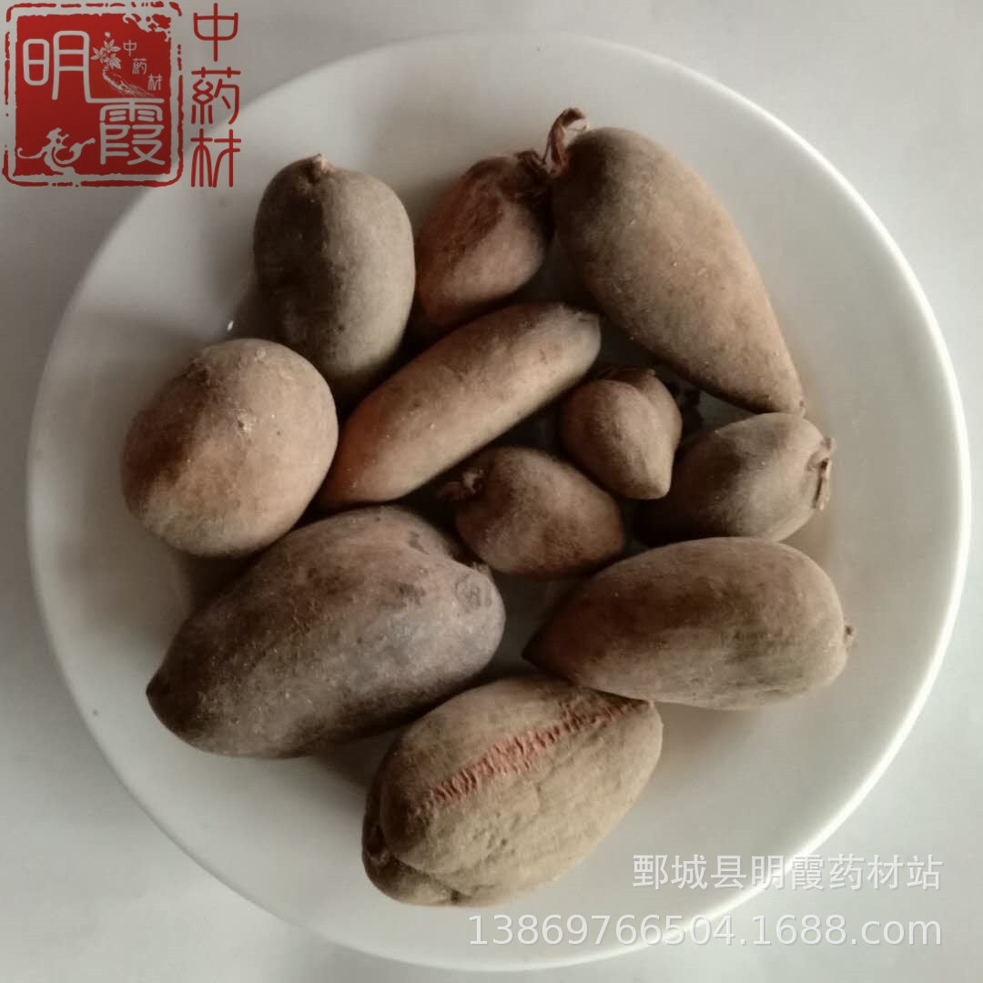 明霞药材【五倍子】1000克批发零售供应中药材