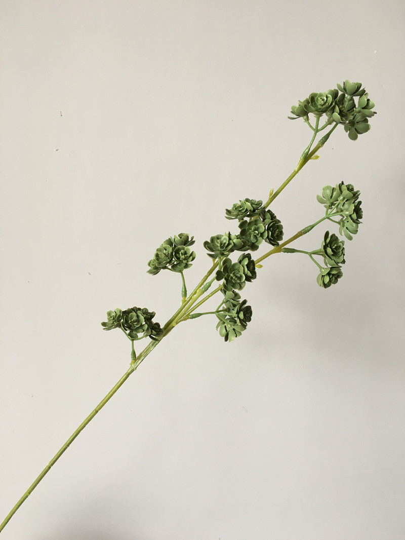 微信图片_201910101657062_副本