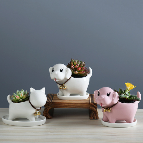 European simple cartoon puppy succulent flowerpot ceramic creative gardening desktop plant container home decoration ornaments