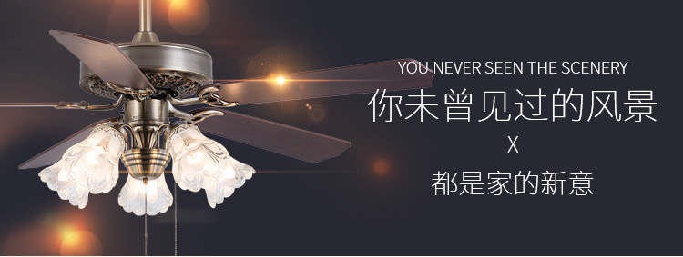 五叶五灯_12.jpg