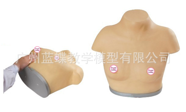 乳房_副本