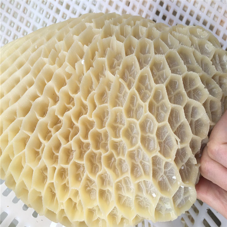 金钱肚水发火锅食材脆嫩蜂窝肚|ms