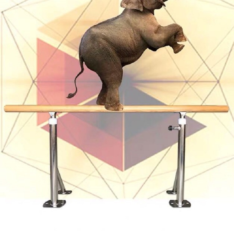 特质舞蹈把杆舞蹈固定式舞蹈压腿把杆不锈钢落地壁挂可升降把杆|ms