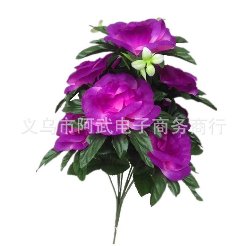 d0e8d26cb18066de71bc6580e10ae4