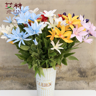 �S�� 3�^�����F��ɏ ����軨��������c�軨�b���ֲ��廨
