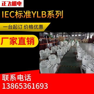 皖南正飞 YLB200-4 （IP54）VHS深井泵电机  厂家直销