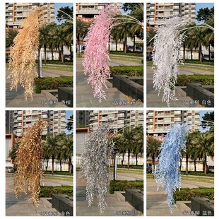 銀柳圖片 海量高清銀柳圖片大全 阿里巴巴