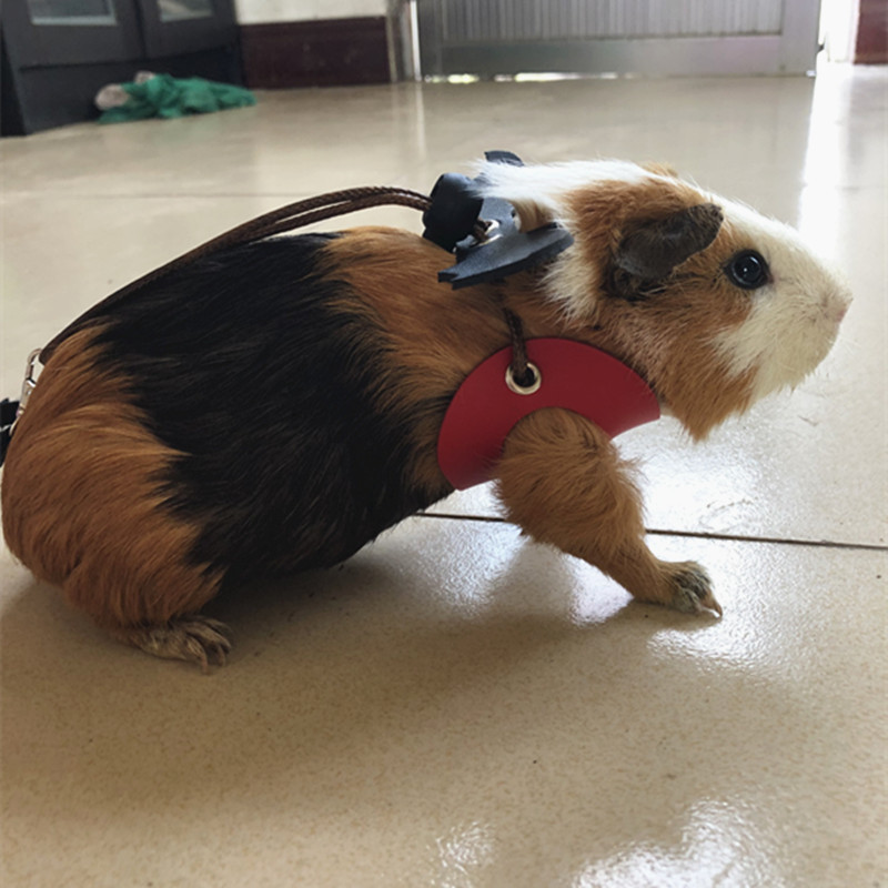 1EA4763C366E377C55D1FE75EAEF25