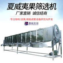 ƼӹĹɹּC YxC AΝLӺY