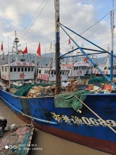 天然野生虾皮    袋装虾皮海米海产品水产品 海鲜干货