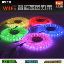 Wifi ZigbeeTfܟbRdȸZRGB߲