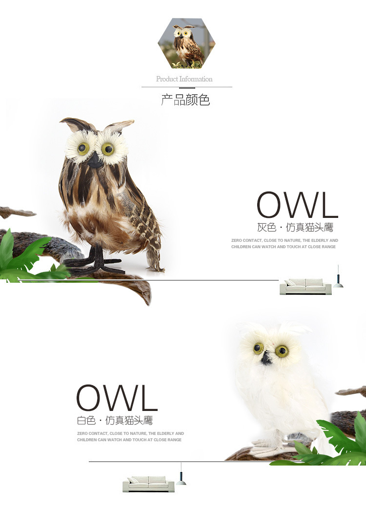 猫头鹰_05.jpg