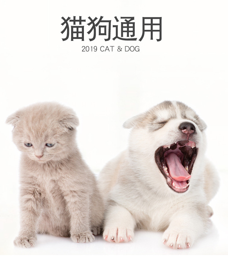 Pet products Pet products New pet products Transparent plastic eating and drinking cat bowl feeder anti-choking cat double bowl a hair replacement undefined