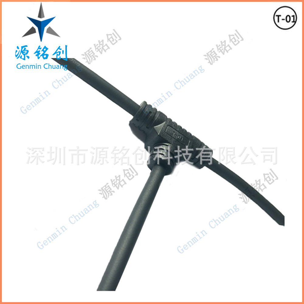 T-01  03.jpg