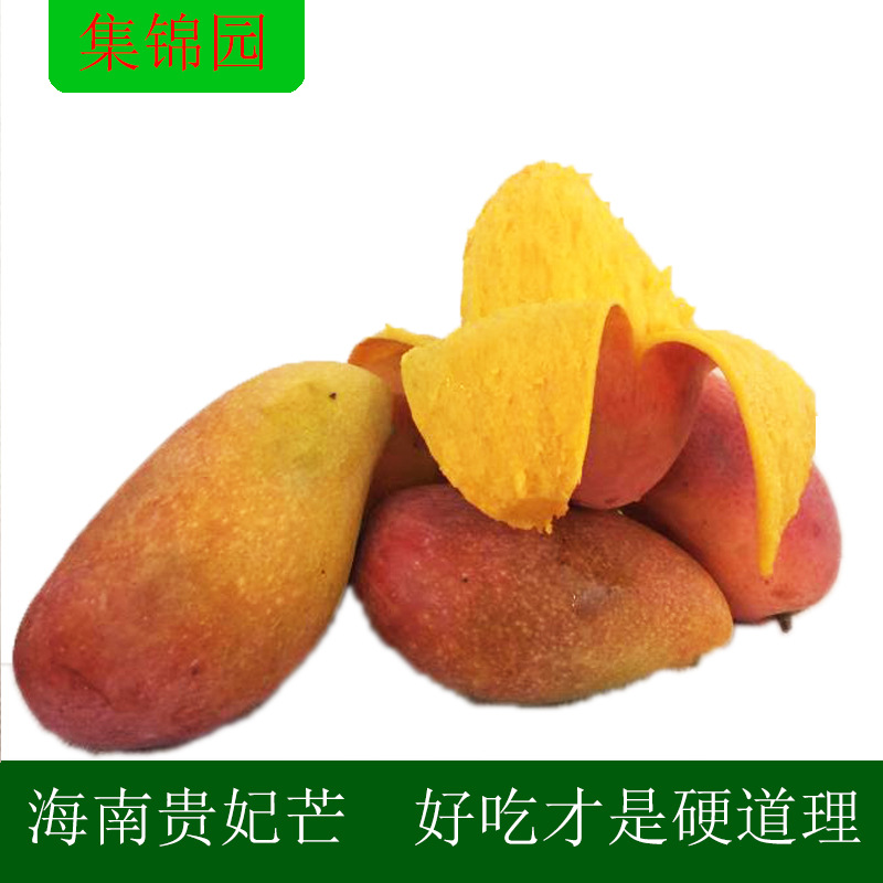 【海南贵妃芒】大果8斤红金龙芒果 甜心芒大青芒现摘现发一件代发