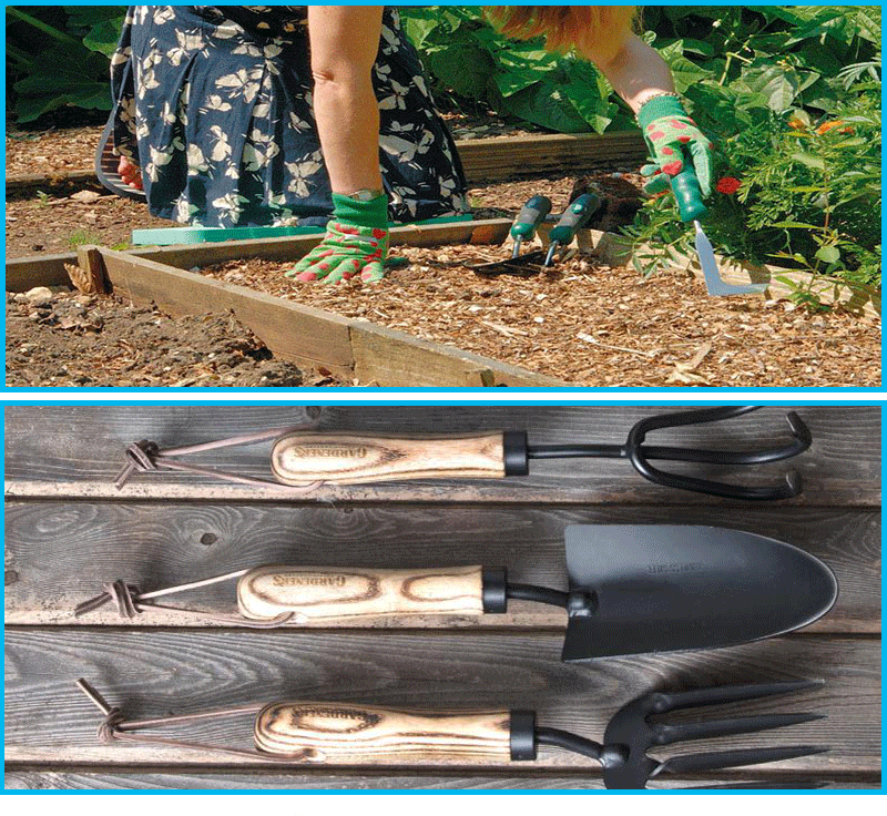 13件园林工具套装 园艺工具组合 铝合金园林铲 家用组合工具-阿里巴巴