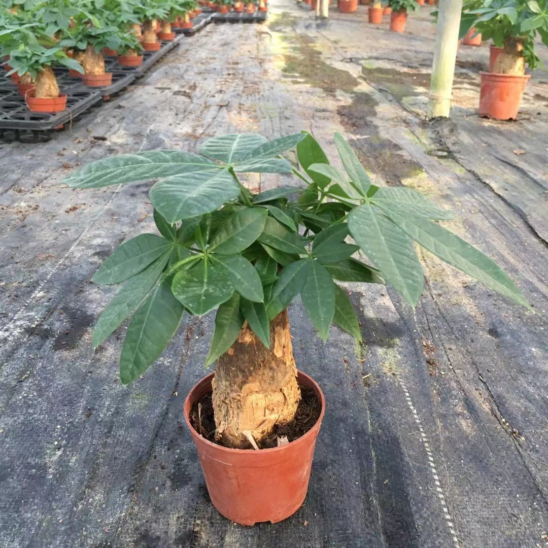 微信图片_20190312234332