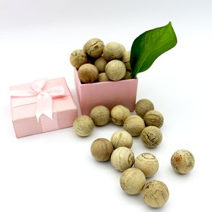 ��Ȼ��ľ�����ľ����ľ�A������x��ԭľ�錍ľ��ľ������