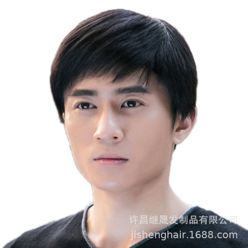 Wigs Male Handsome lifelike man True hair Short hair Oblique bangs Korean Edition fluffy Hand-woven Reality Short hair