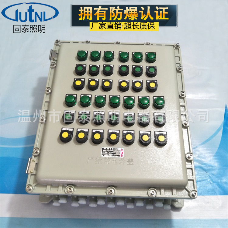 防爆控制箱（IIB/IIC）BXK防爆阀门控制箱 防爆仪表箱按键可操作