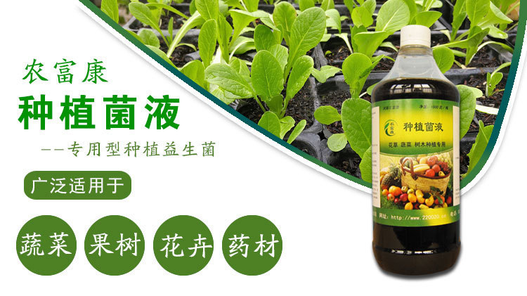 能够治连坐重茬的种植em菌一般都是什么价格