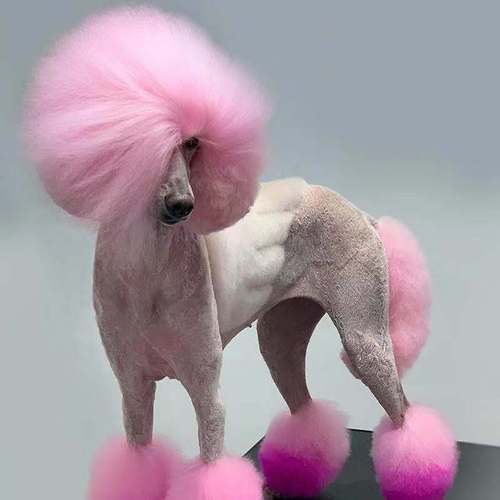 Small paw print opawz pet temporary dyeing shampoo and shower gel for cats and dogs washed several times macaron color 7 color selection