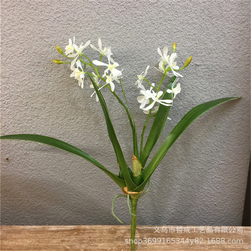 O1CN01BXvm5t2L9IBuJC4yV_!!6834