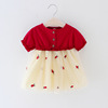 Skirt, summer clothing, dress, small princess costume, Korean style, with embroidery, western style