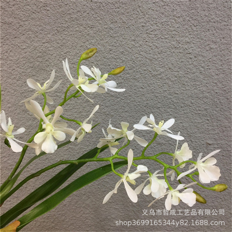 O1CN01mBbouH2L9IBwZDJT3_!!6834