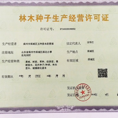 林木种子经营许可证相框|ms