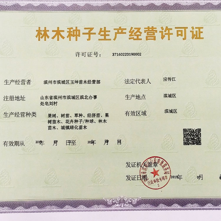 林木种子经营许可证相框|ms