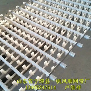 专业生产冼碗机网带 塑料尼龙网带    按需定做    抗老化易清理