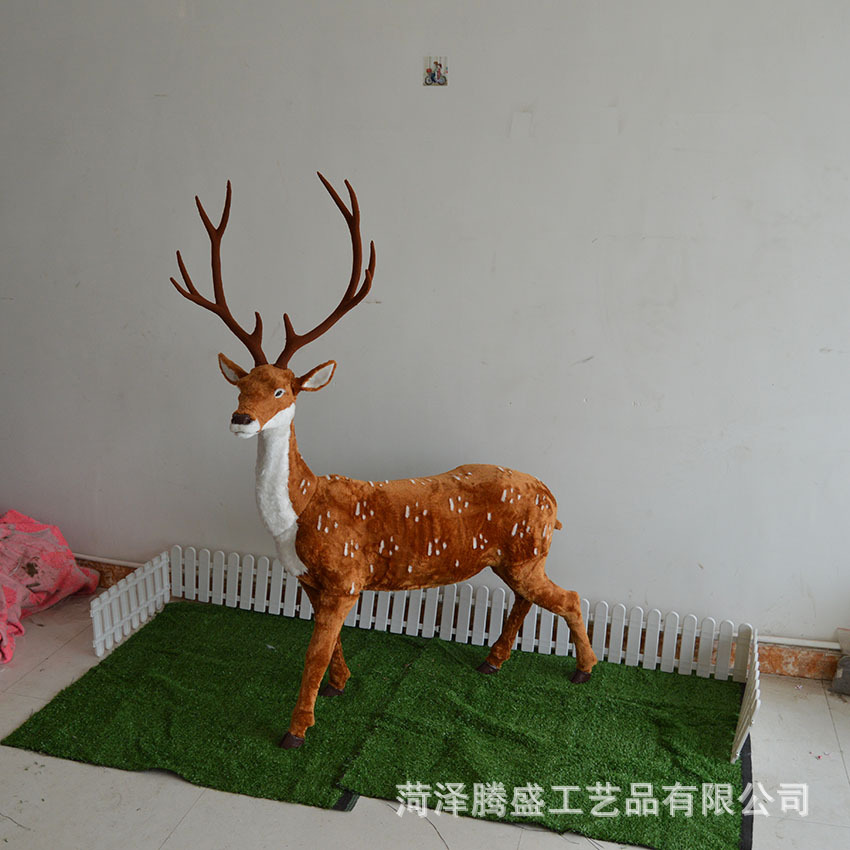 DSC_2530.JPG