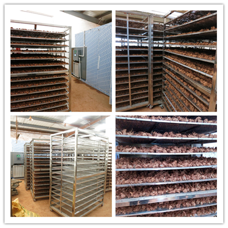 ��Դͷ���ҡ����ߺ�ɻ� ϸ����������ҩ�ĸ����豸 �ȷ�ѭ������