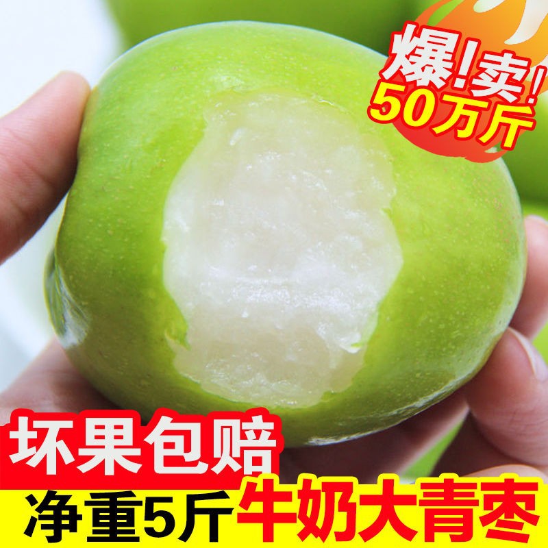 牛奶大青枣新鲜枣子水果包邮整箱大枣甜脆枣冬枣批发5斤一件代发