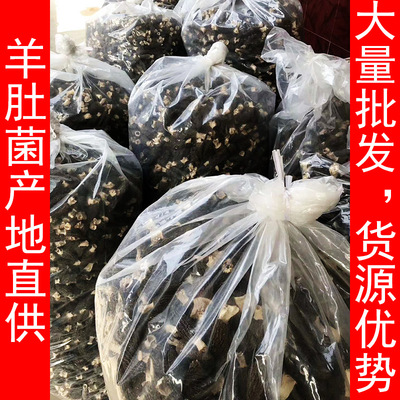 羊肚菌干货 厚肉 头茬带柄 无剪 野生前头期大量批发500克|ms