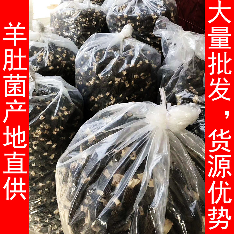 羊肚菌干货 厚肉 头茬带柄 无剪 野生前头期大量批发500克|ms
