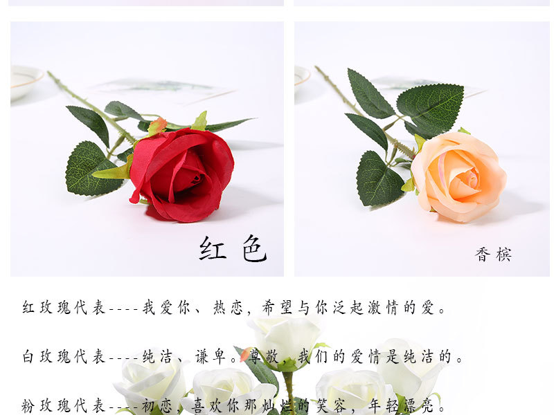 情人玫_09
