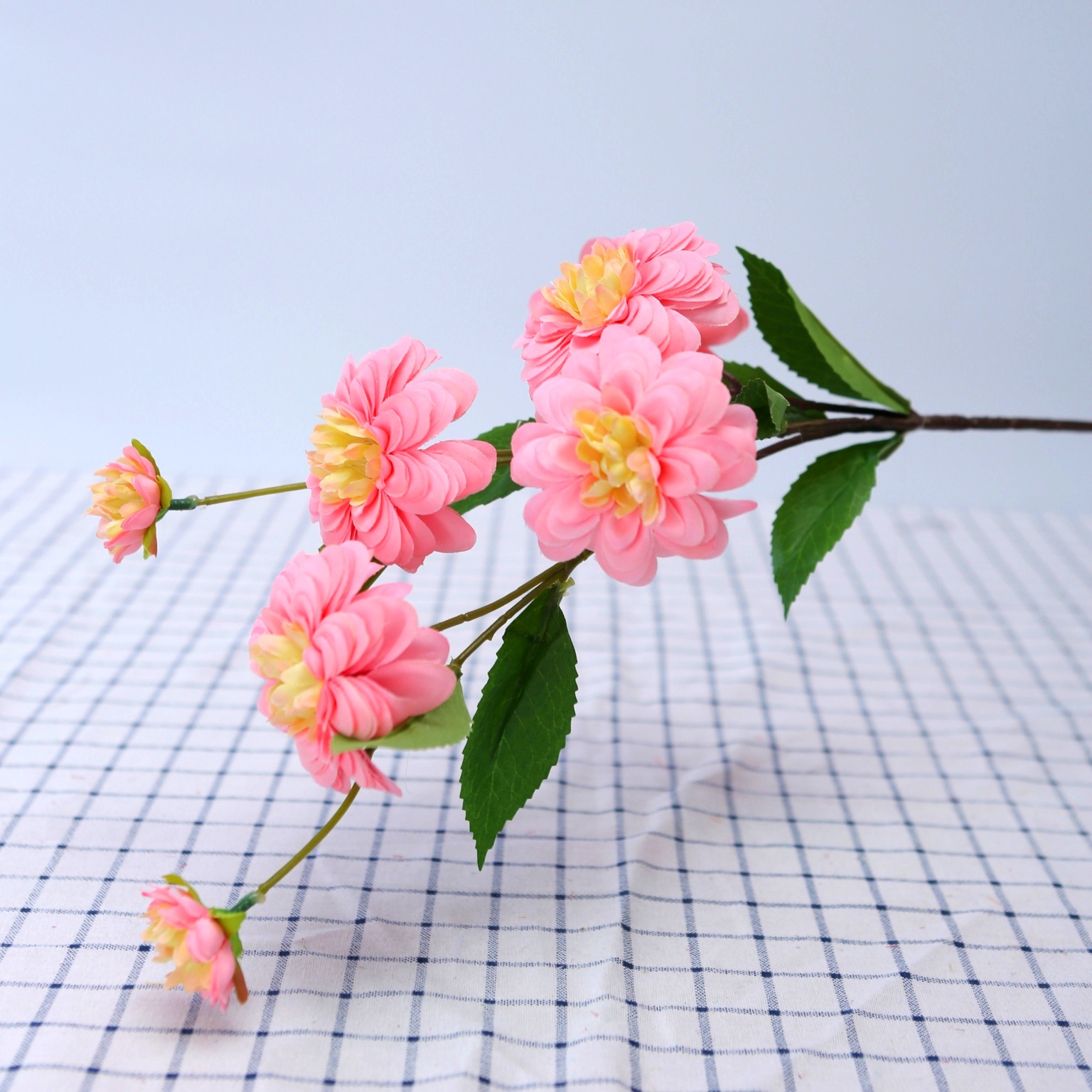 单枝,花束,玫瑰(第6页)_大山谷图库