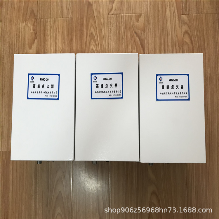 燃信热能定制雾化油枪高能点火器 柴油点火装置RXGD-20