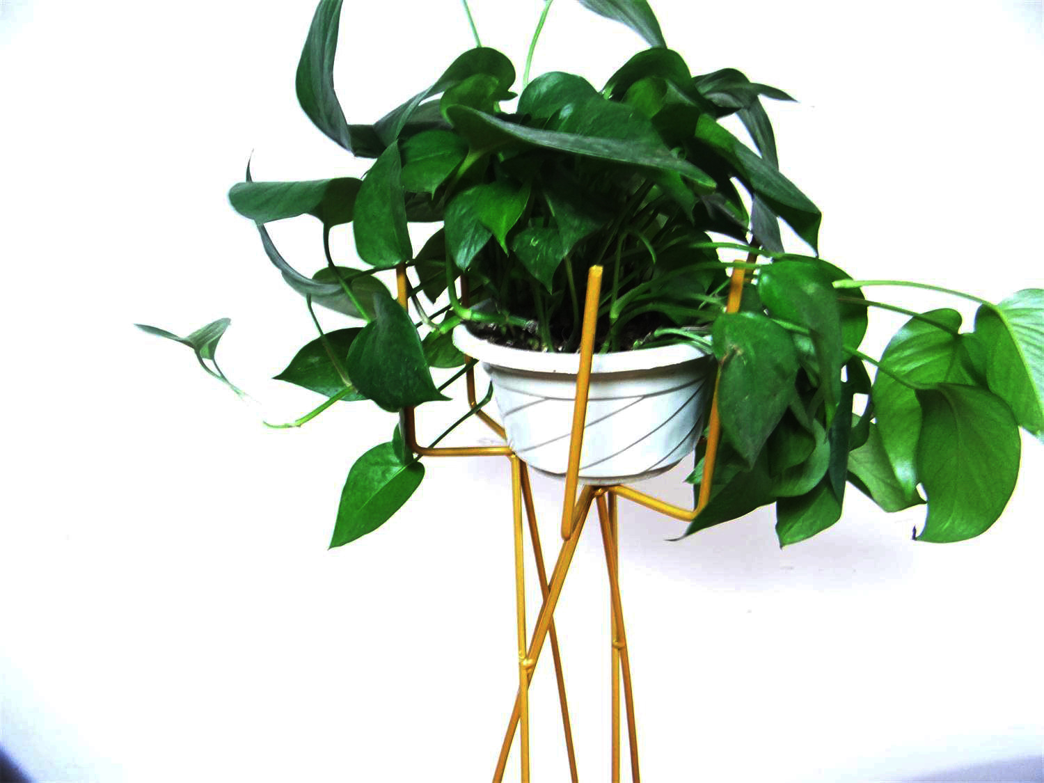 北欧设计师款花架铁艺折叠花器阳台客厅卧室落地式简约创意绿植盆|ru