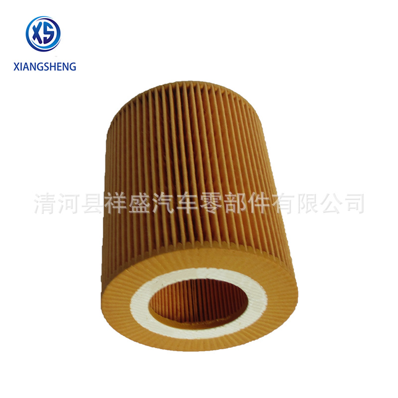 oil filter-30750013(5)