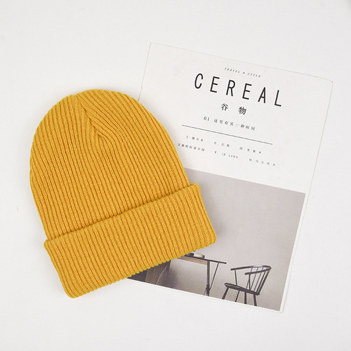 Korean style autumn and winter knitted hats new woolen hats men and women landlord hats yuppie baotou cold hat gangster melon skin hat trendy